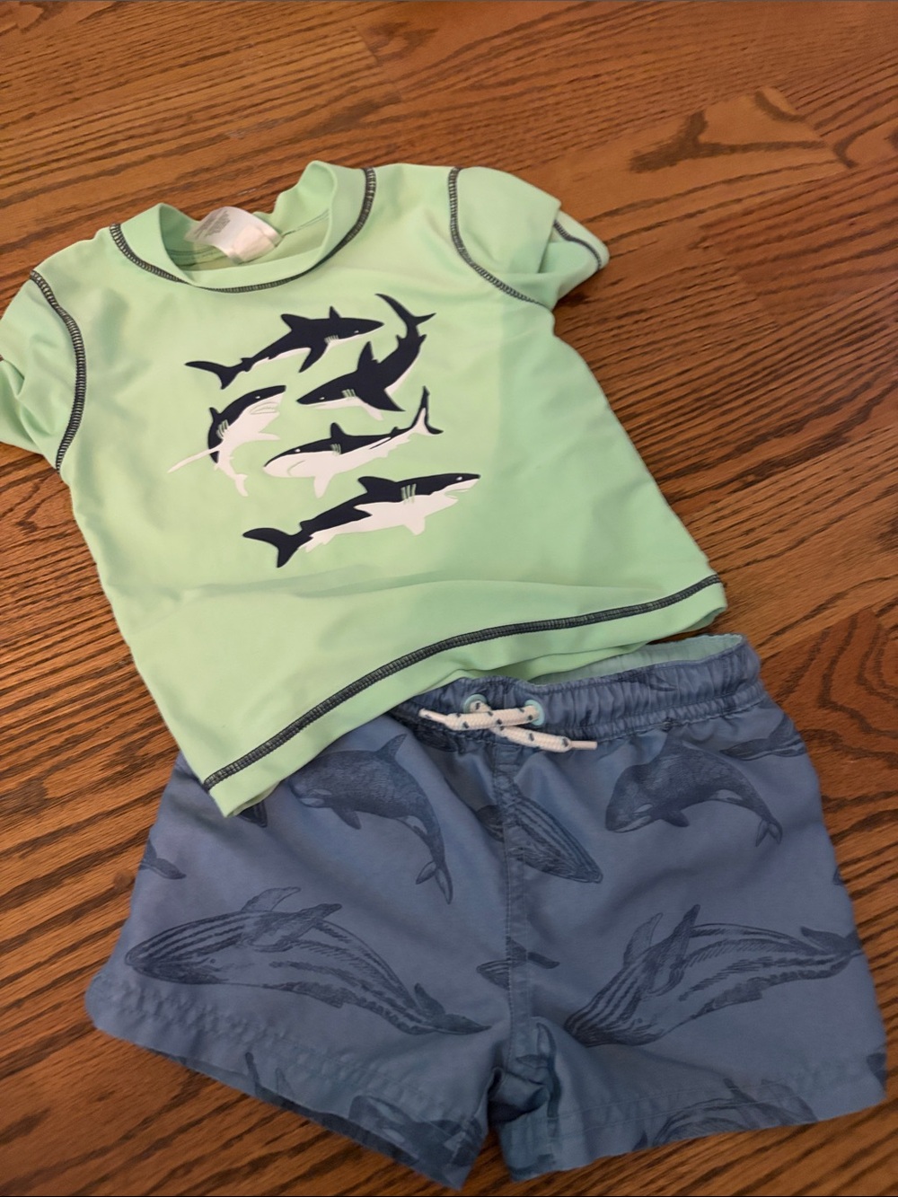 Kids Green Shark Rash Guard Swim Set with Blue Whale Swim Shorts 12-18m